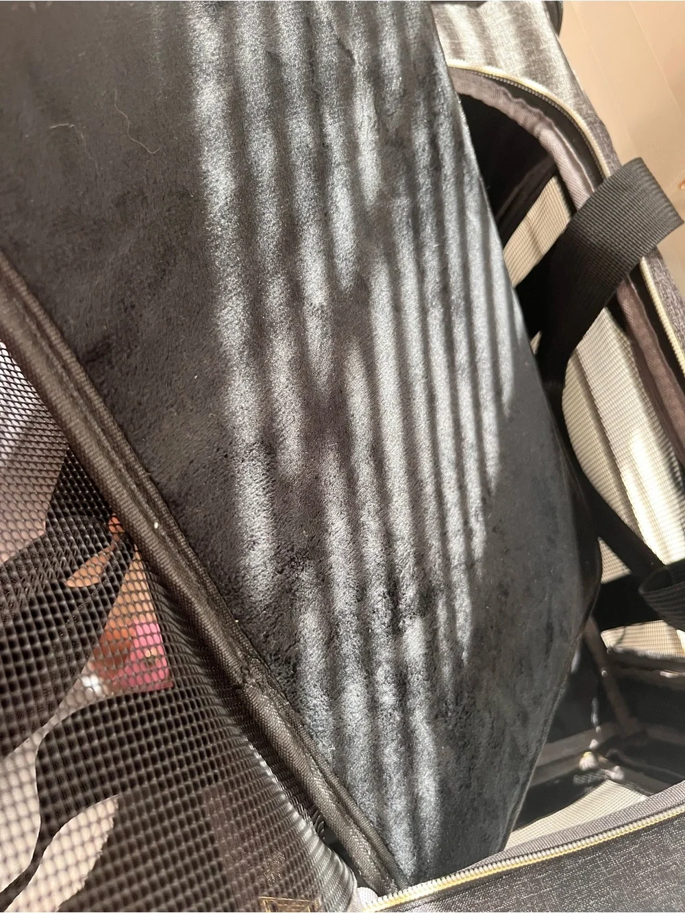 Small Pet Black and Gold Travel Carry Bag with Mesh Front